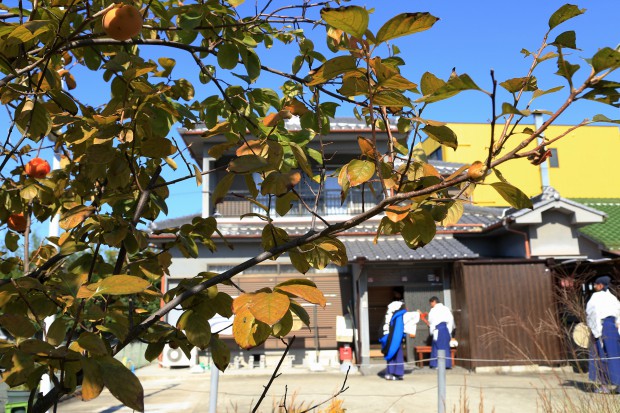 伊勢大神楽 山本勘太夫 獅子舞